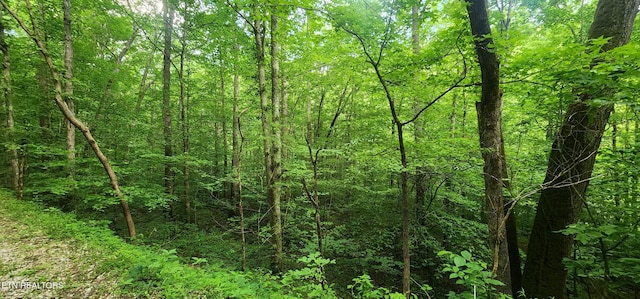 Lower Capuchin Rd, Winfield, TN 37892