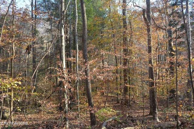 Lower Capuchin Rd, Winfield, TN 37892