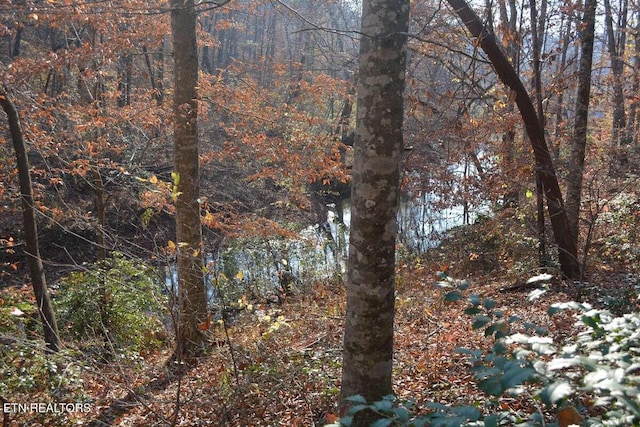 Lower Capuchin Rd, Winfield, TN 37892