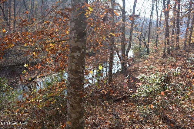 Lower Capuchin Rd, Winfield, TN 37892