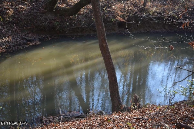 Lower Capuchin Rd, Winfield, TN 37892