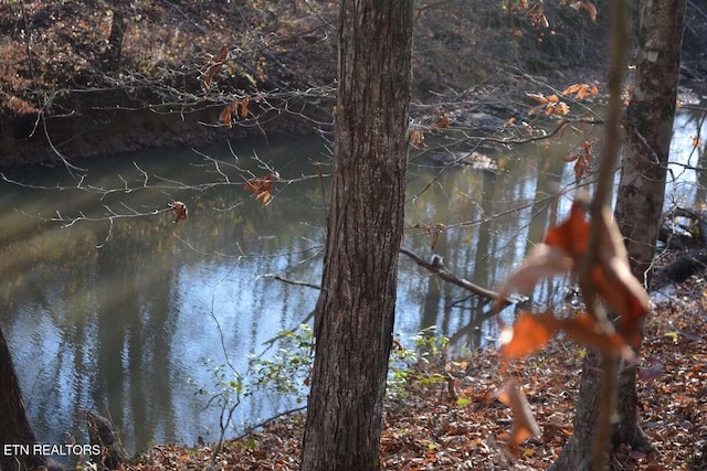 Lower Capuchin Rd, Winfield, TN 37892