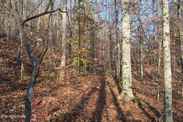 Lower Capuchin Rd, Winfield, TN 37892