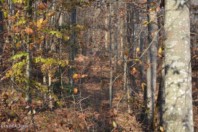 Lower Capuchin Rd, Winfield, TN 37892