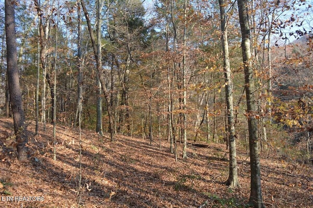 Lower Capuchin Rd, Winfield, TN 37892