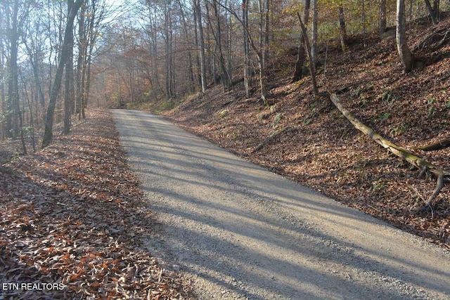 Lower Capuchin Rd, Winfield, TN 37892
