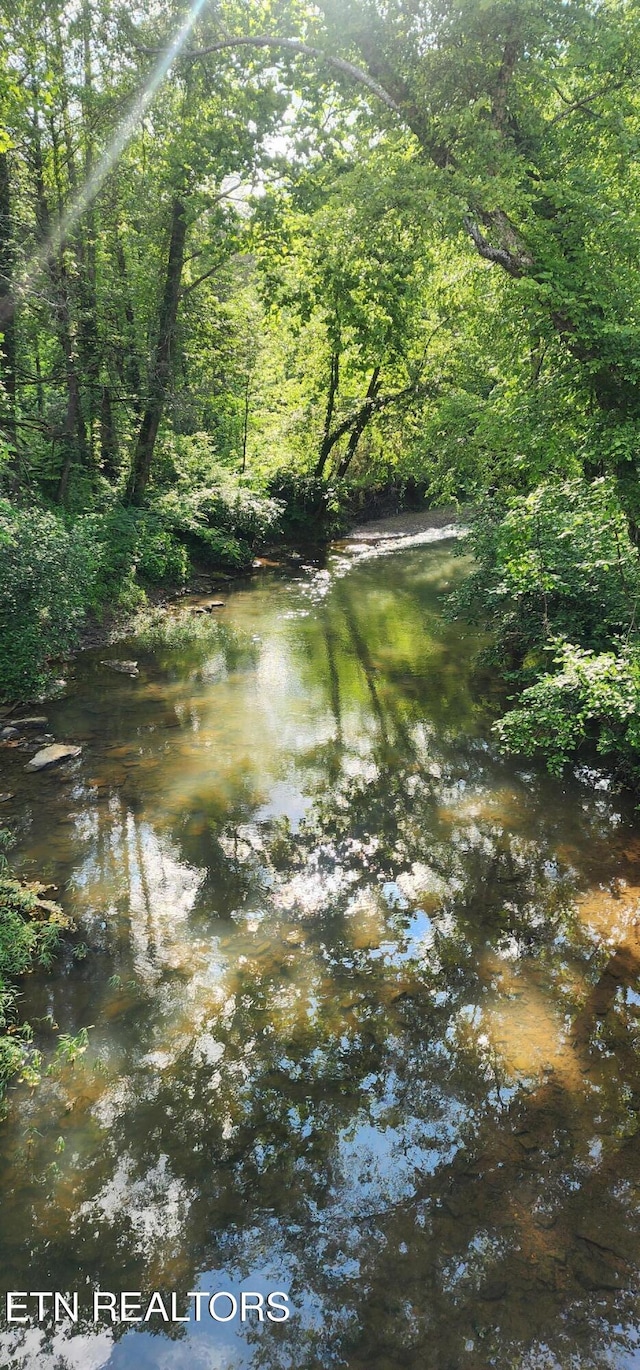 Lower Capuchin Rd, Winfield, TN 37892