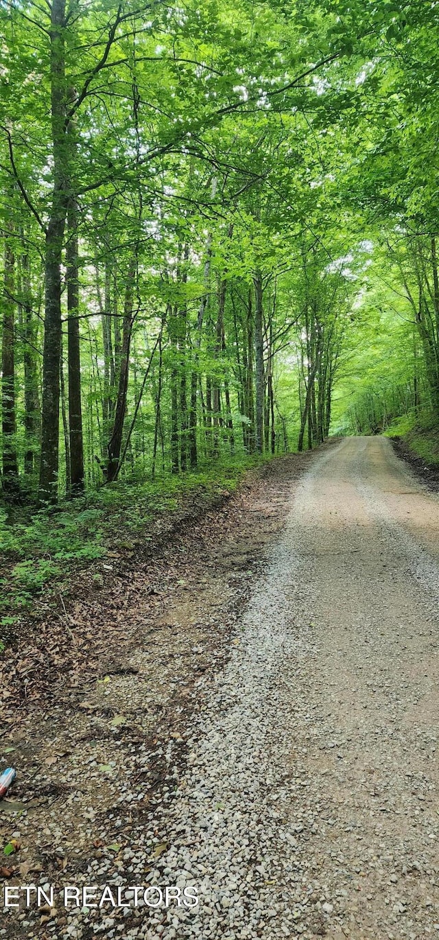 Lower Capuchin Rd, Winfield, TN 37892