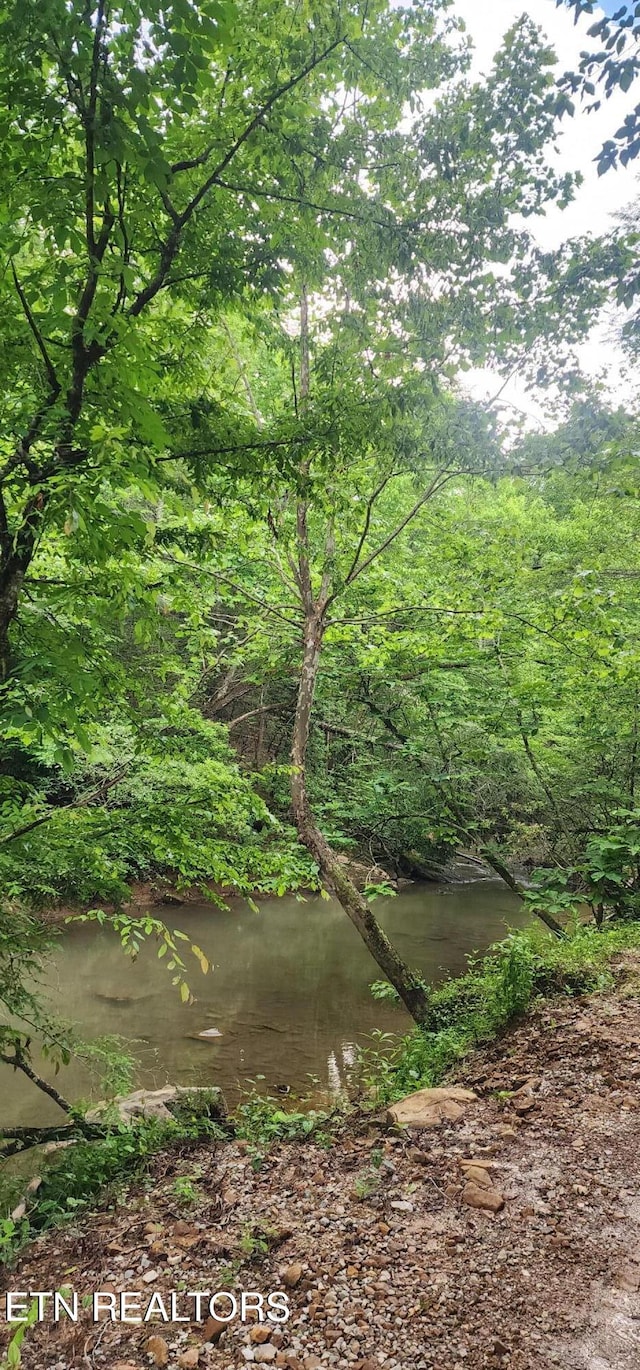 Lower Capuchin Rd, Winfield, TN 37892