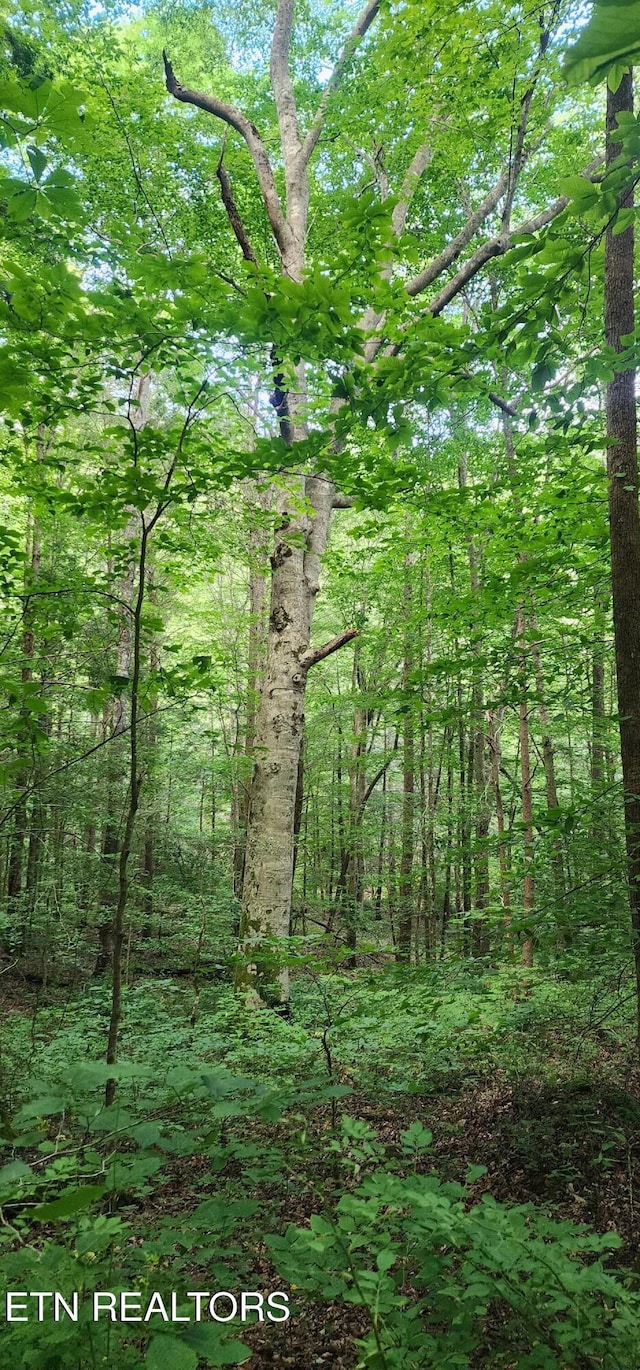Lower Capuchin Rd, Winfield, TN 37892