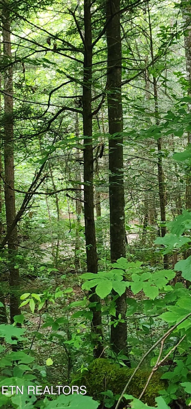 Lower Capuchin Rd, Winfield, TN 37892