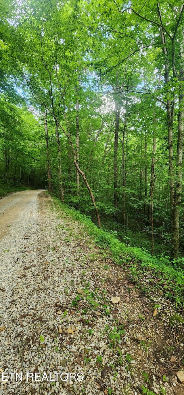 Lower Capuchin Rd, Winfield, TN 37892
