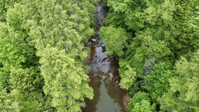 Lower Capuchin Rd, Winfield, TN 37892