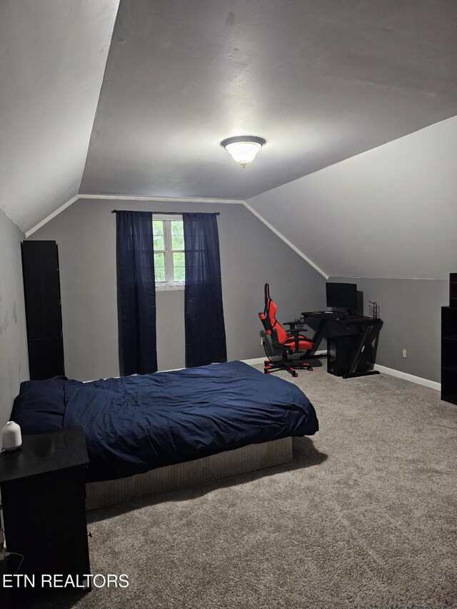 281 Scenic Dr, Harriman, TN 37748 - photo 8