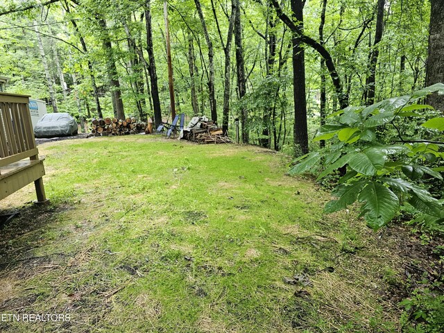 281 Scenic Dr, Harriman, TN 37748 - photo 19