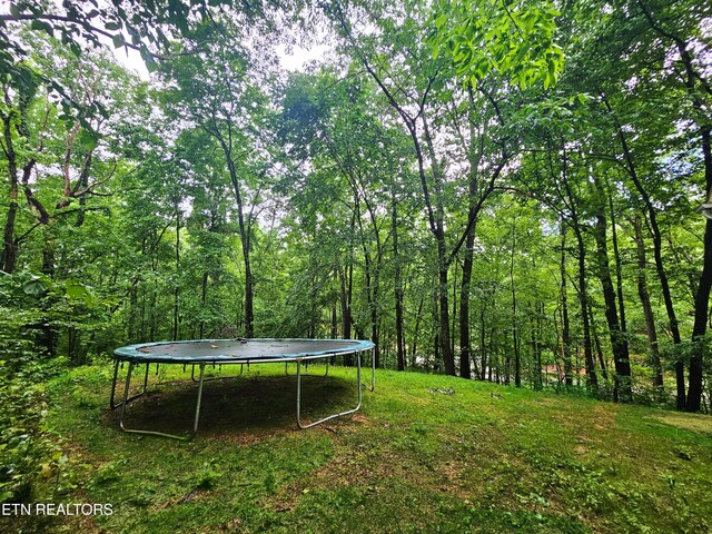 281 Scenic Dr, Harriman, TN 37748 - photo 21
