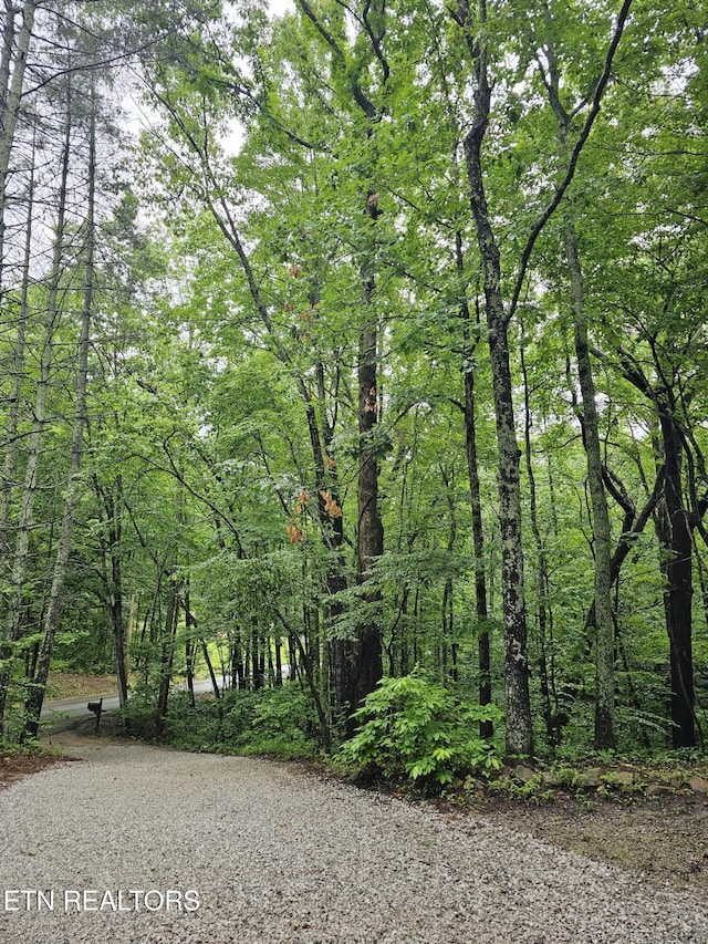 281 Scenic Dr, Harriman, TN 37748 - photo 20