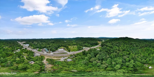 8239 W Circle Dr, Knoxville, TN 37920 - photo 8