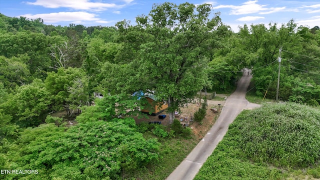 8239 W Circle Dr, Knoxville, TN 37920 - photo 10