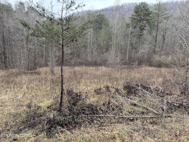 William Newport Rd, Huntsville, TN 37756