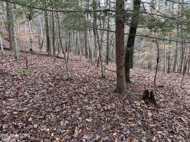 William Newport Rd, Huntsville, TN 37756