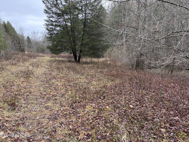 William Newport Rd, Huntsville, TN 37756