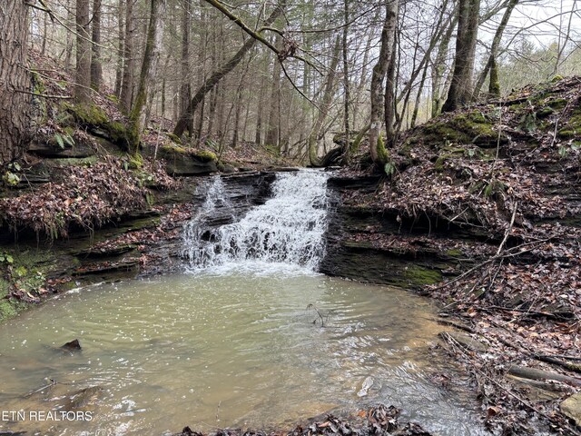 William Newport Rd, Huntsville, TN 37756