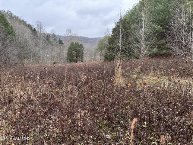 William Newport Rd, Huntsville, TN 37756