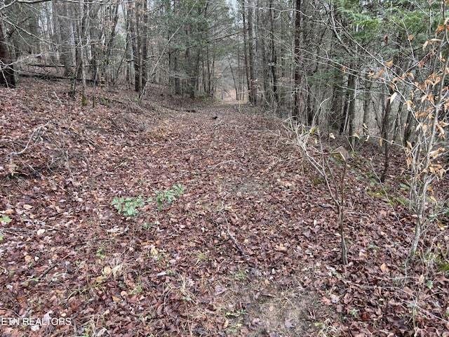 William Newport Rd, Huntsville, TN 37756