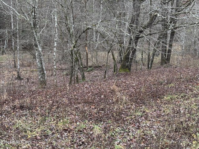 William Newport Rd, Huntsville, TN 37756