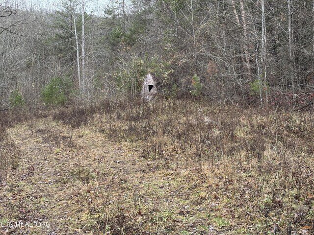 William Newport Rd, Huntsville, TN 37756