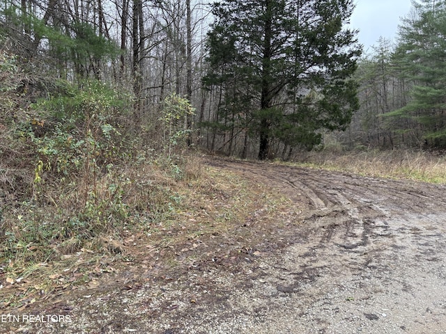 William Newport Rd, Huntsville, TN 37756