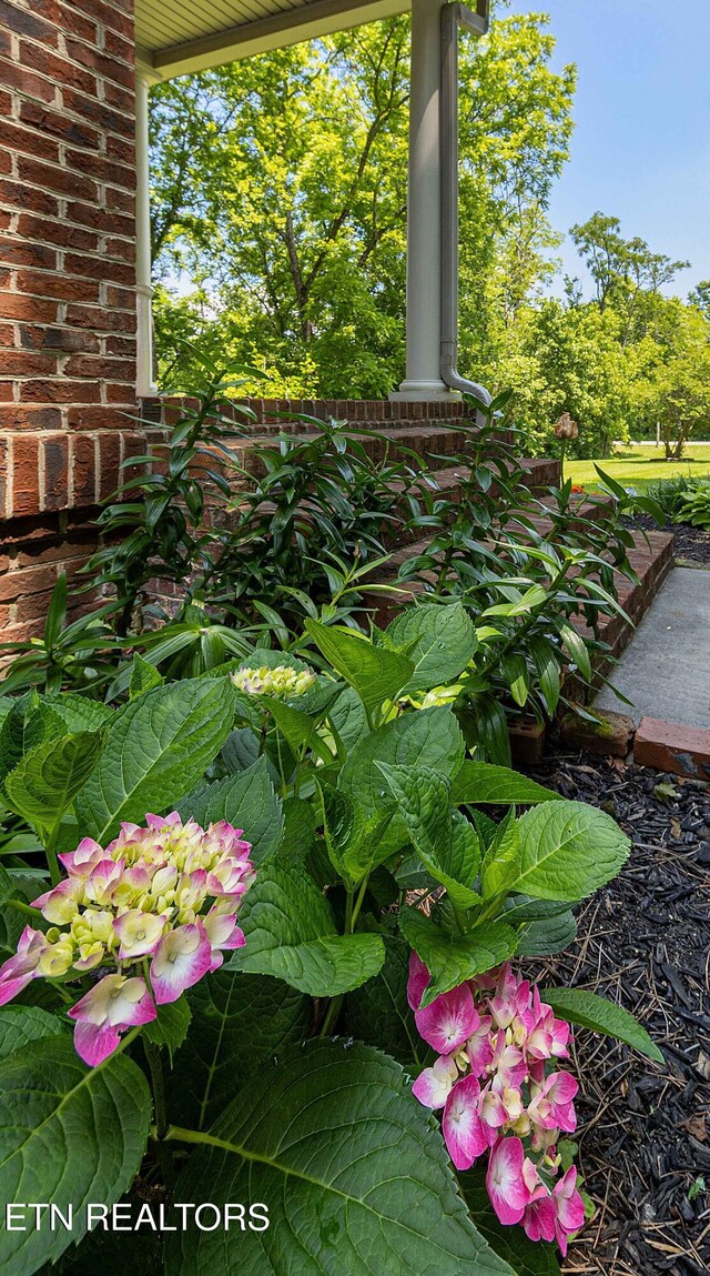 2939 River Rd, Loudon, TN 37774 - photo 19