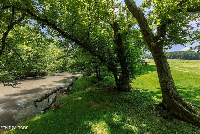2939 River Rd, Loudon, TN 37774 - photo 17