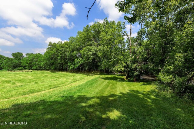 2939 River Rd, Loudon, TN 37774 - photo 54