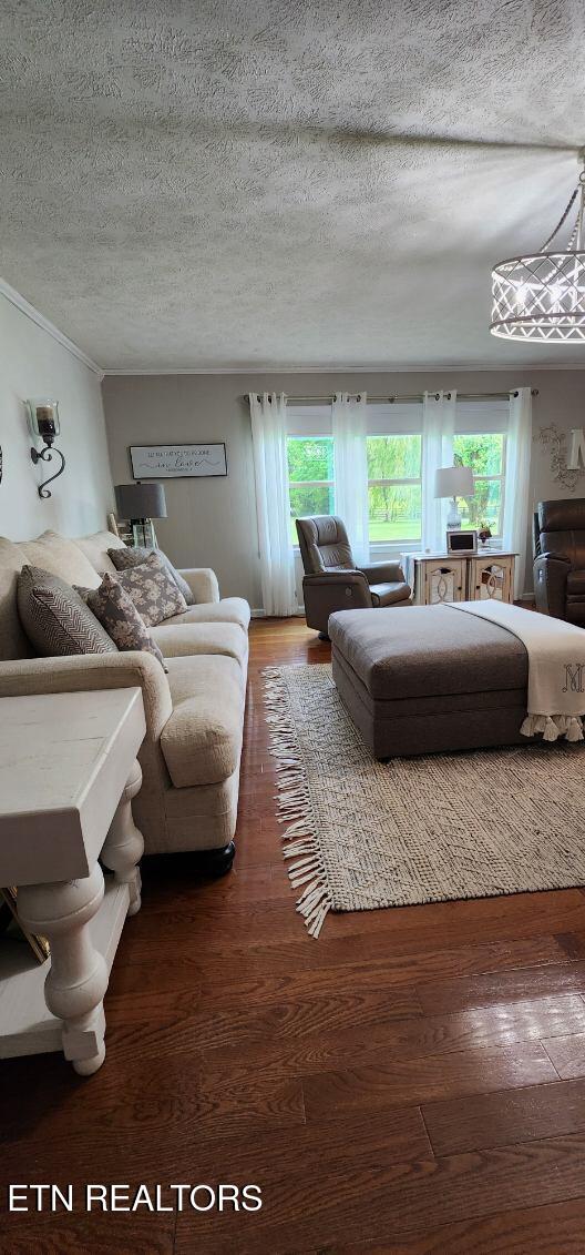 1922 Chaney Ridge Rd, London, KY 40741 - bedroom featuring multiple windows, wood finished floors, and a textured ceiling