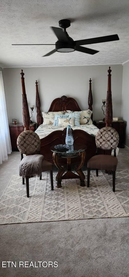 1922 Chaney Ridge Rd, London, KY 40741 - bedroom with a textured ceiling, a ceiling fan, and carpet floors
