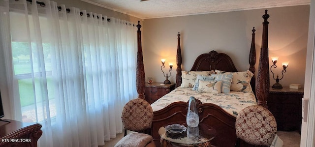 1922 Chaney Ridge Rd, London, KY 40741 - bedroom featuring ornamental molding