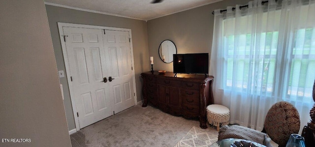 1922 Chaney Ridge Rd, London, KY 40741 - living area with light carpet and crown molding