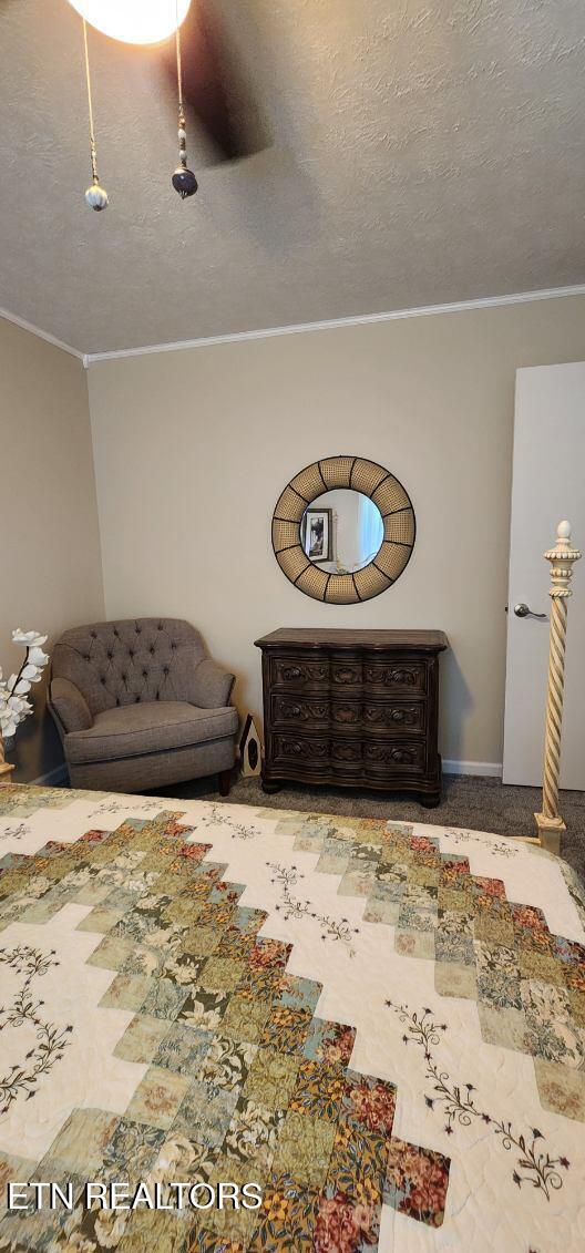 1922 Chaney Ridge Rd, London, KY 40741 - carpeted living room featuring crown molding and a textured ceiling