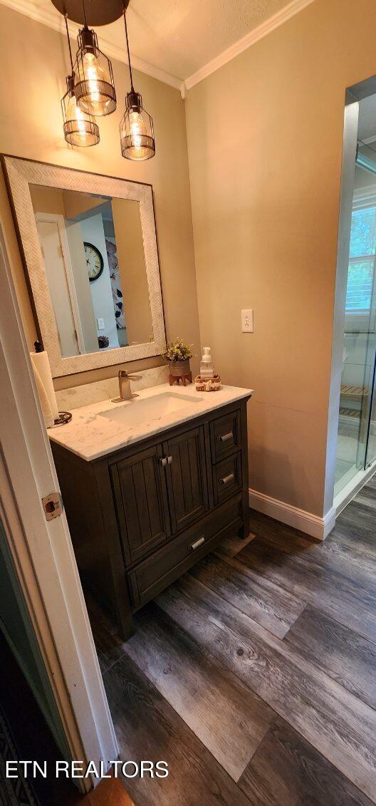 1922 Chaney Ridge Rd, London, KY 40741 - bathroom with crown molding, vanity, wood finished floors, and baseboards