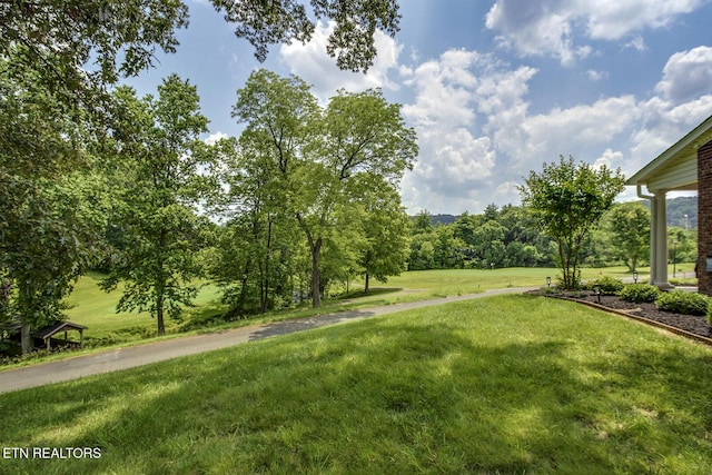 430 Willow Springs Dr, Athens, TN 37303 - view of green lawn