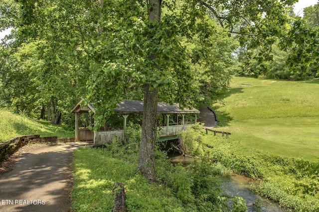 430 Willow Springs Dr, Athens, TN 37303 - view of property hidden behind natural elements with a front lawn