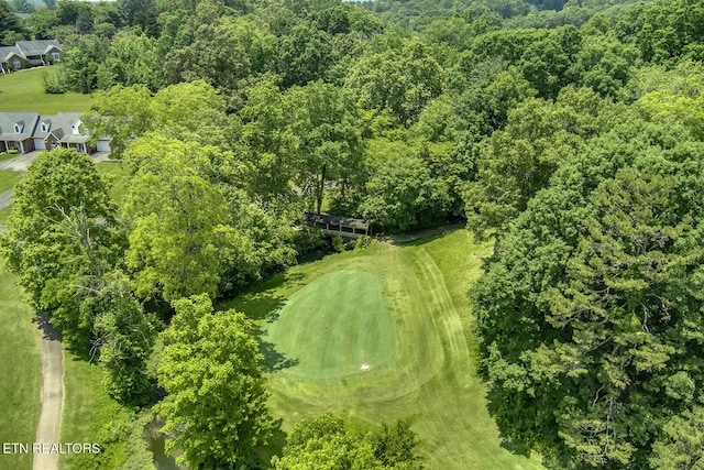 430 Willow Springs Dr, Athens, TN 37303 - drone / aerial view of a forest