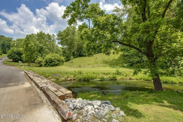 430 Willow Springs Dr, Athens, TN 37303 - view of yard
