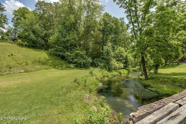 430 Willow Springs Dr, Athens, TN 37303 - view of green lawn