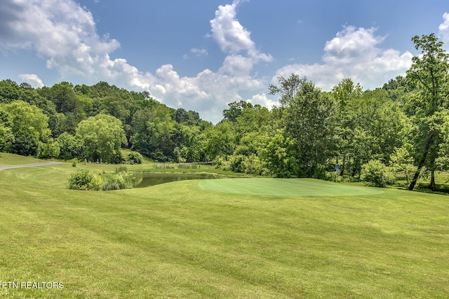 430 Willow Springs Dr, Athens, TN 37303 - view of property's community featuring golf course view, a water view, and a yard