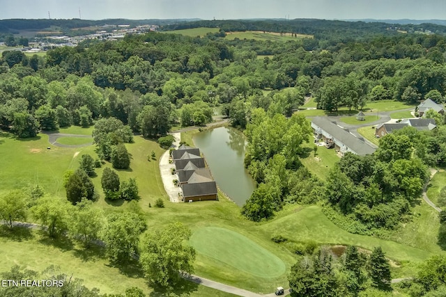 430 Willow Springs Dr, Athens, TN 37303 - drone / aerial view of a large body of water
