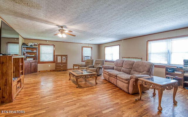 1406 Madison Ave, Maryville, TN 37804 - photo 3