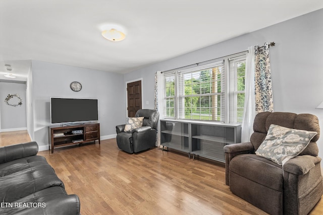 1670 Bowen Rd, Rutledge, TN 37861 - living room featuring wood finished floors and baseboards